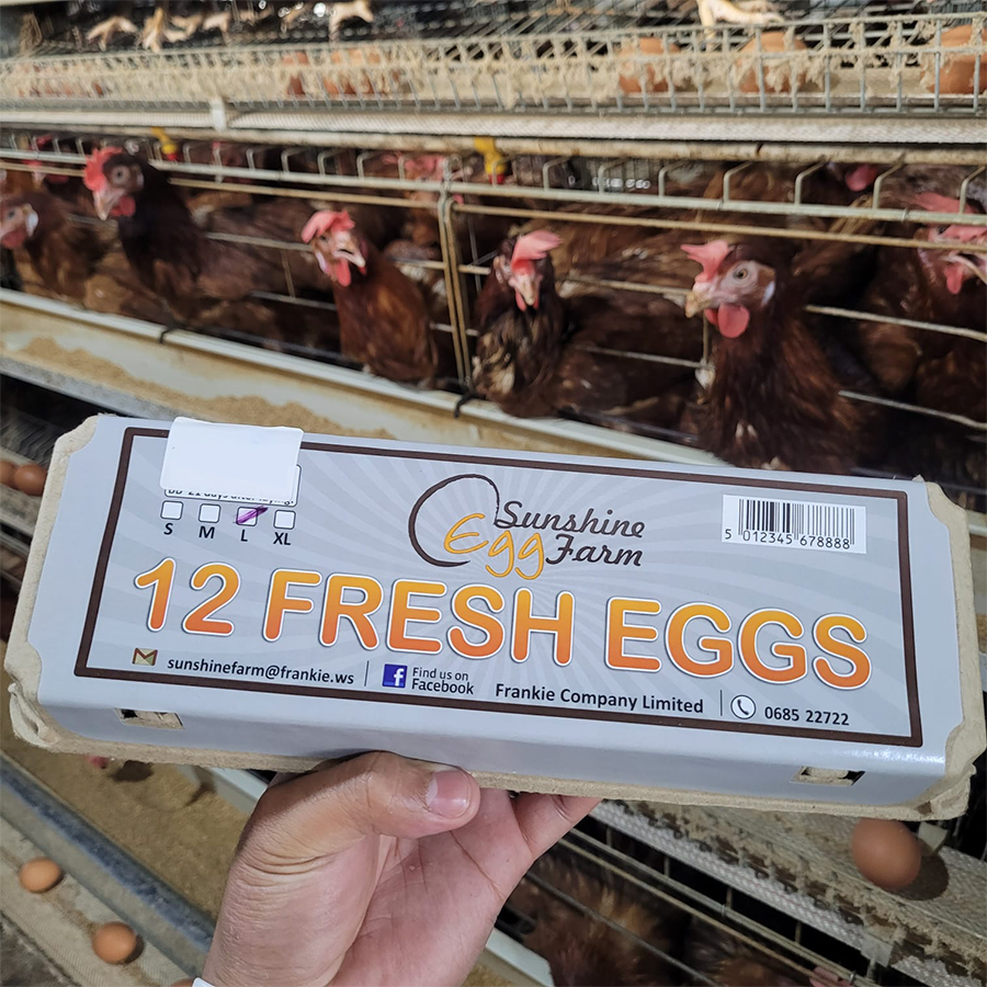 Frankie Company Limited Donates 20 Cartons of Sunshine Eggs to Support Samoa Victim Support Group