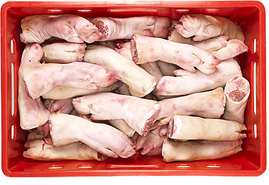 Campbell Pig Trotter 20kg