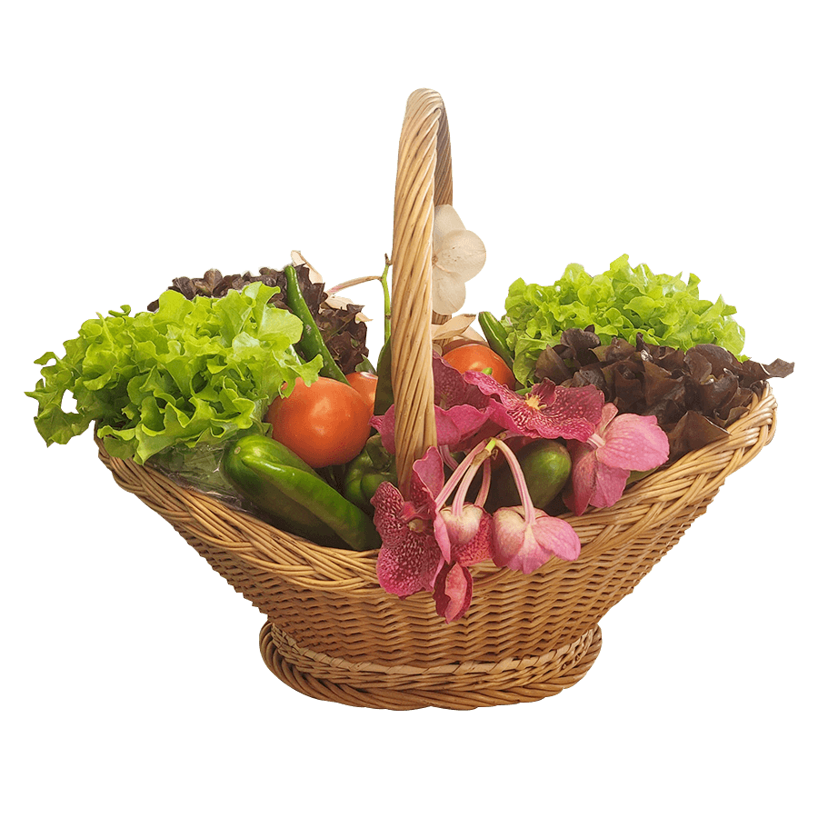 Wicker basket filled with fresh vegetables and pink flowers on a black background