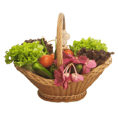 Sunshine Mix Vegetable Hampers $65