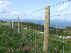 Pig Fence G/H 155*120*800*50m 4F