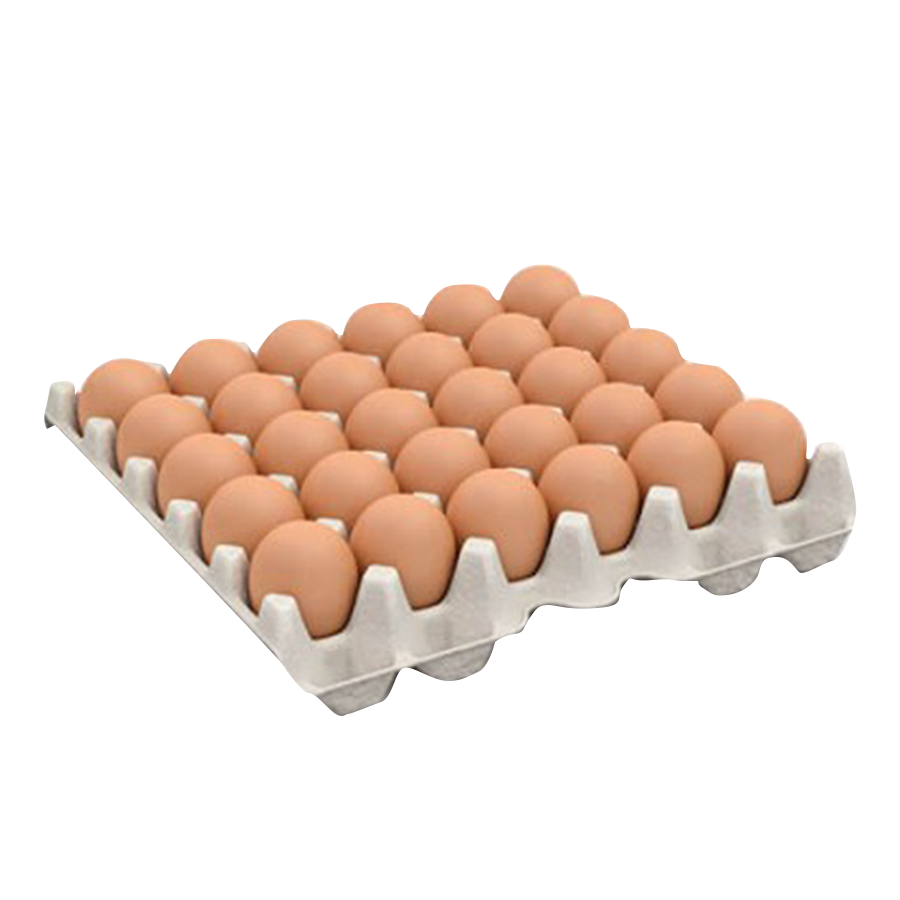 Sunshine Farm Egg 30'S Tray Large