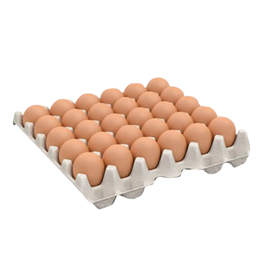 Sunshine Farm Egg 30'S Tray Large
