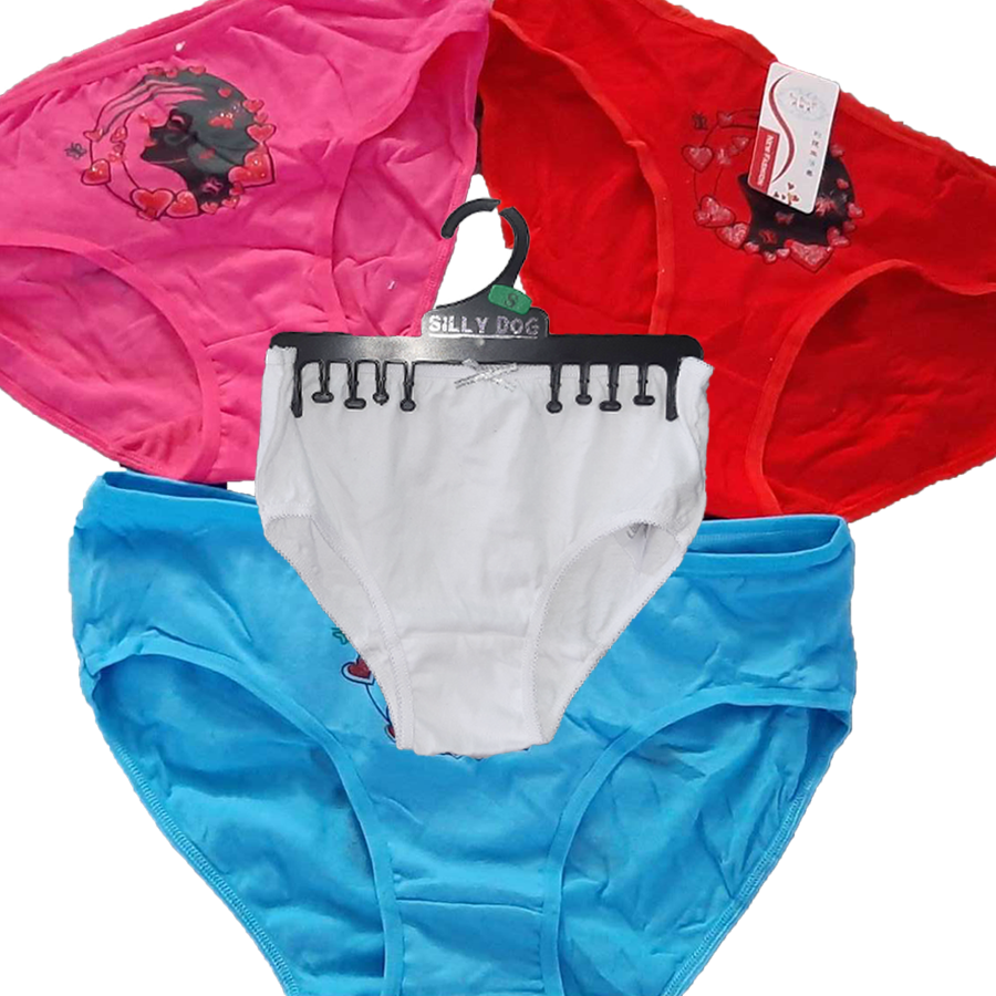 Girls Undergarments [Sizes by Choices] x 3pcs