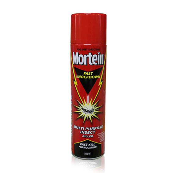 Mortein Fast Knockdown 300g